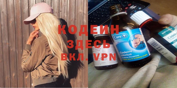 2c-b Бикин