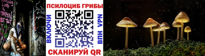 Псилоцибиновые грибы Cubensis  Карабаш 